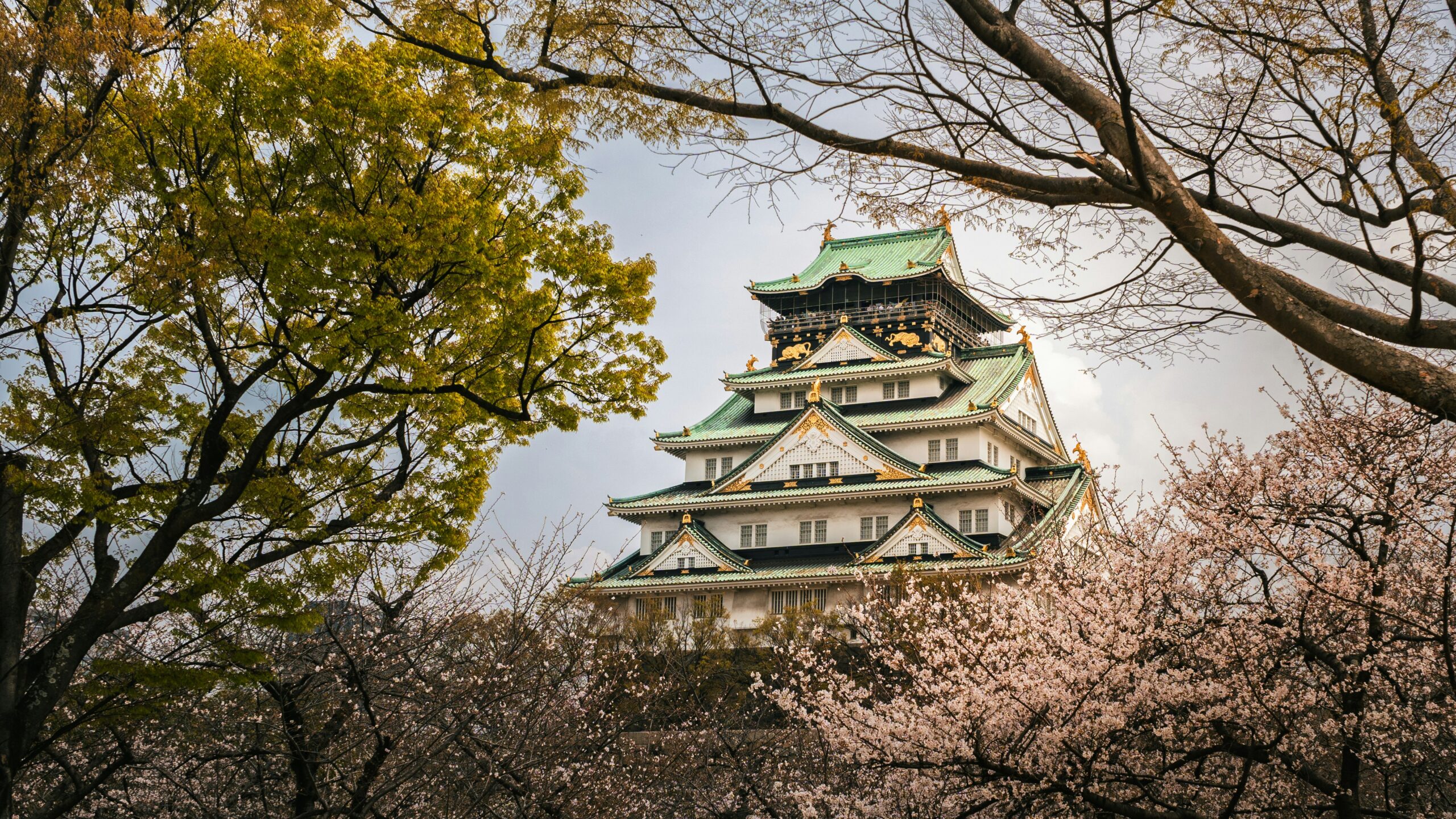 桜に彩られた日本のお城